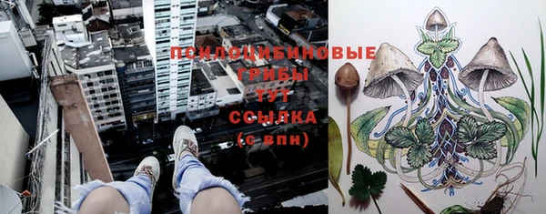 прущая мука Надым