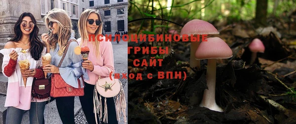 прущие крисы Нефтекумск