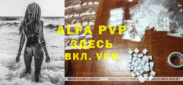 ПСИЛОЦИБИНОВЫЕ ГРИБЫ Беломорск