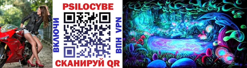 где купить Набережные Челны Галлюциногенные грибы MAGIC MUSHROOMS